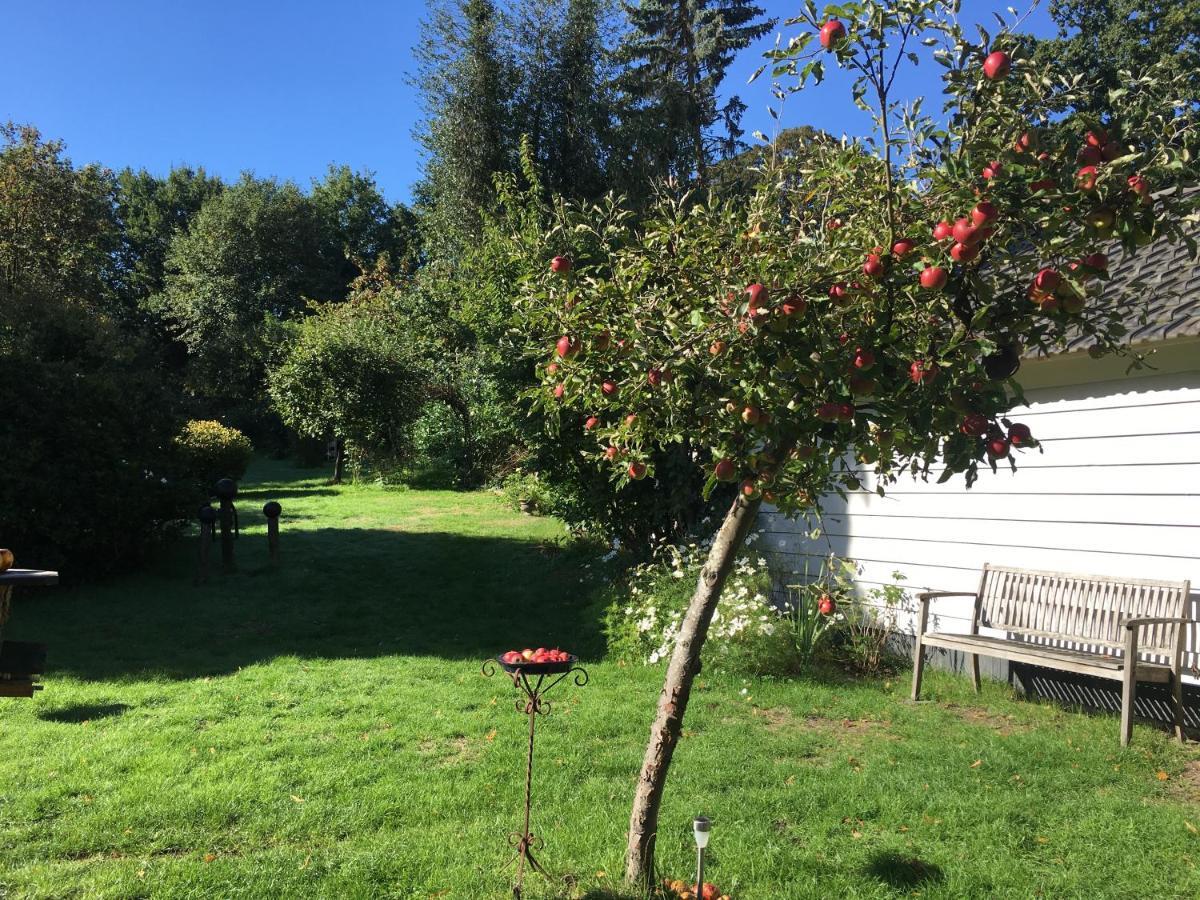 ברח אן דאל Natuurhuisje Heerlijkheid Beek מראה חיצוני תמונה